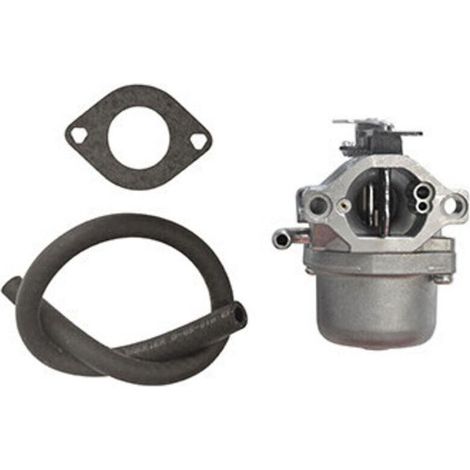 Carburateur adaptable pour moteur Briggs & Stratton OHV AVS 13,5 cv Réf. 590399 / 794653 (1/3)