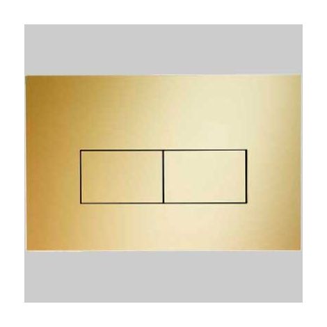 PLACCA DI COMANDO ECO LINEA ACRILICO DOPPIO TASTO - Oro