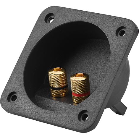 Boîtier de Jonction pour Enceintes avec Bornes en Laiton pour Câbles Audio (1/4)