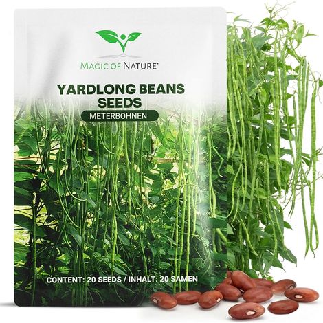 Graines Haricot Kilomètre (20 Pcs) - Haricots de 1 Mètre (1/5)