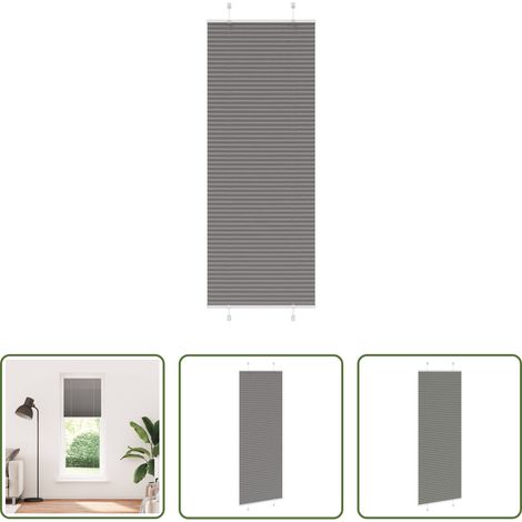 Sichtschutz - Plissee Anthrazit 70x200 cm Stoffbreite 69,4 cm Polyester (1/5)