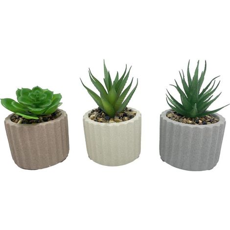 TRADE SHOP - Set 6pz Pianta Verde Grassa Finta Con Vaso Ceramica Scanalato 8x8xh13cm 3 Colori 157985 -
