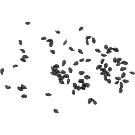 Graines d'ancolie médicinales 50 g, graines de fleurs pour jardin, balcon et potager. (1/5)
