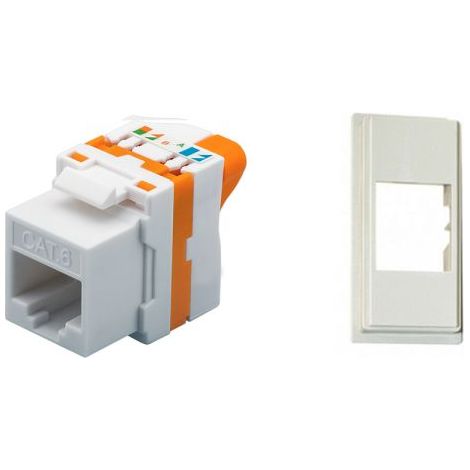 TechLy presa di rete RJ45 UTP Cat.6 tooless + Now sabbia