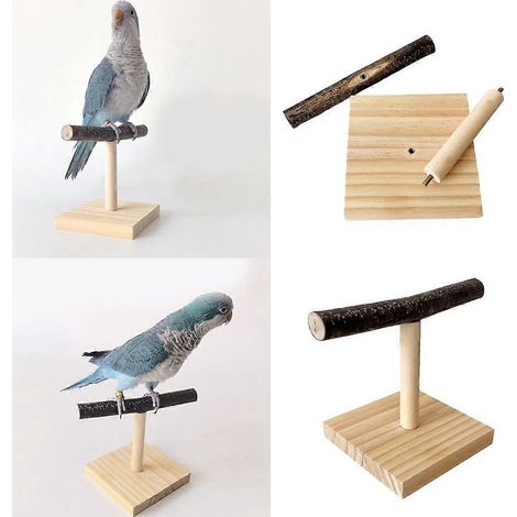 Perchoir en bois pour petits et moyens perroquets, support et griffoir (1/4)