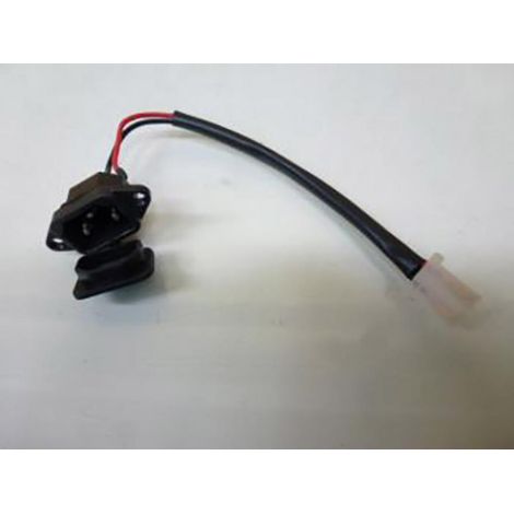 usa-Stecker 2 Drähte für zwei Räder chinesischer Roller Import (1/2)