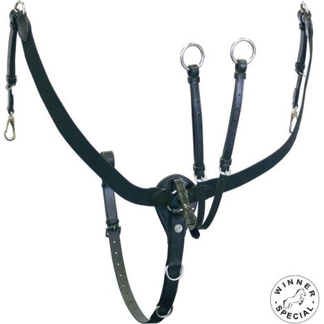 Pony, Nero: Plastron en cuir et élastique avec martingale détachable et fixation de selle Winner Special