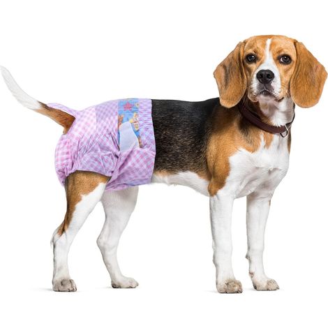 Couches jetables pour Chiens, adaptées pour Chiens et Chats, Couches jetables Ajustables de 10 à 40 pièces (S-10 pièces) (1/5)