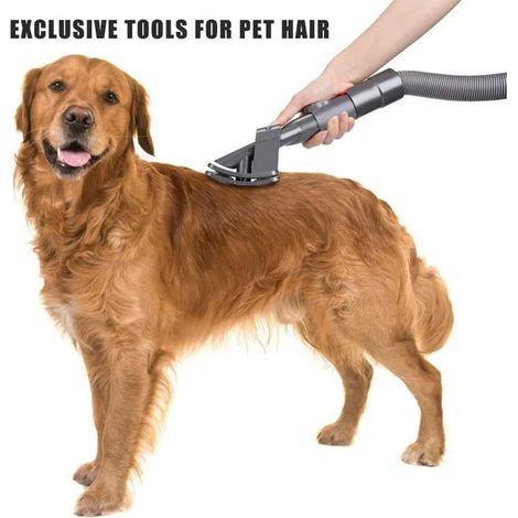 Ortviai Brosse pour animaux pour aspirateur Dyson V6/V7/V8/V10/V11/V15 – Brosse à poils longs en ABS pour chiens et chats (1/4)