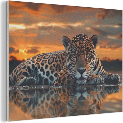CUADRO ACÚSTICO Naturaleza - Leopardo - Animal - Atardecer - Moderno Adornos Pared 80x60 (1/5)