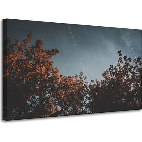 Leinwanddruck Orangenbaumkronen 100x60
