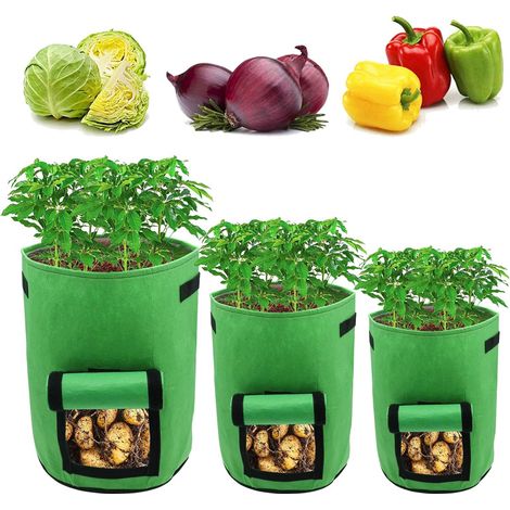 Confezione da 3 sacchi per piante da 4 galloni (circa 15 litri) con finestra/velcro/maniglia. Sacchi traspiranti adatti alla coltivazione di patate, piante e ortaggi. (1/3)