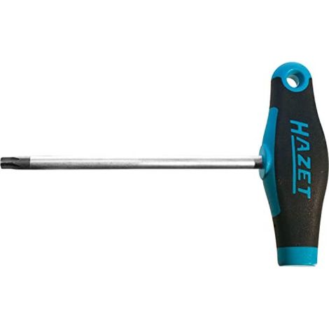 Tournevis torx intérieur Taille: T 10
