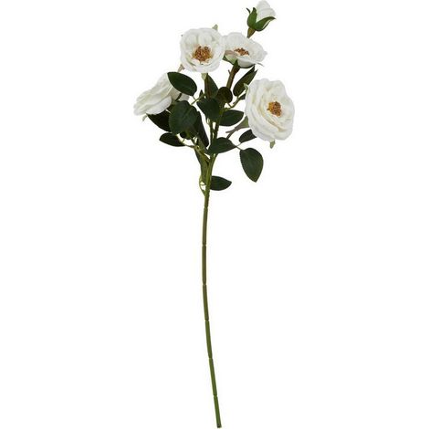 The Natural Garden Collection Hedge Rose (Single Stem Flower) - White