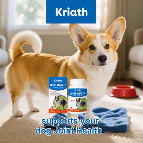 Comprimés de complément alimentaire pour les articulations des chiens - Nourrissent et protègent les articulations de votre chien pour un confort et une santé au quotidien - 60 comprimés (1/5)