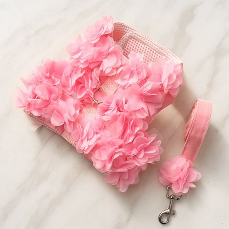 Harnais Chien - Collier Harnais Réglable en Polyester et Coton - Pour Chiens Petits et Moyens comme Chihuahua et Poméranien - Floral - Taille S M L (1/5)