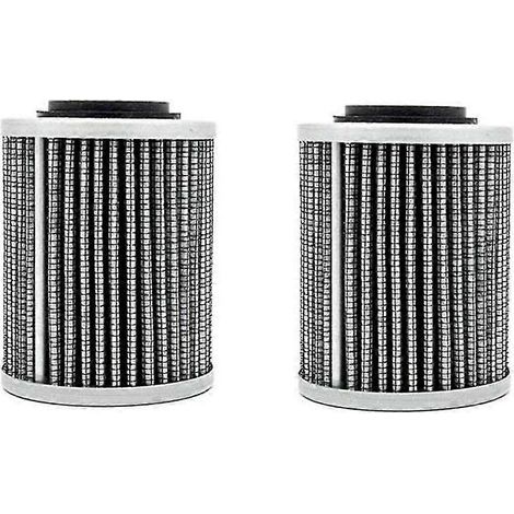 Abras Ant Easy Inat Cycle 420956124 Kraftstofffilter (1/5)