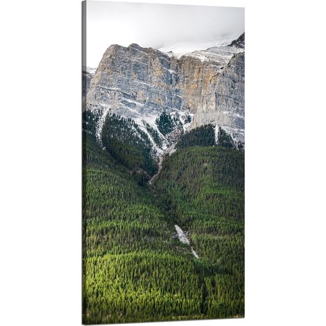 Leinwanddruck Natur Berghang Bäume 60x120