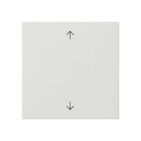 Gira Tasto 1f Frecce System 55 Bianco puro [538903], 5389 03