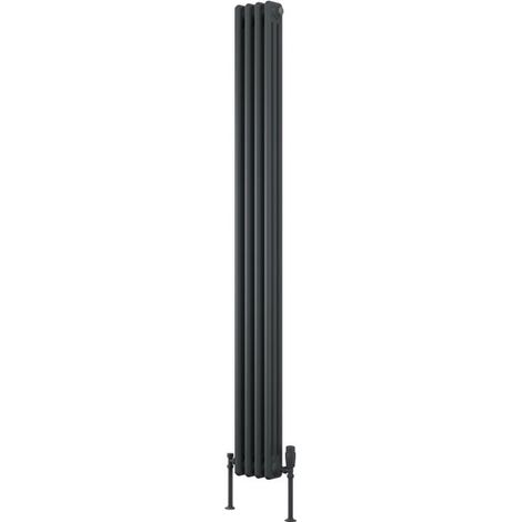 Reina Colona 2 Column Vertical Radiator 1800mm H x 200mm W - Anthracite (1/4)