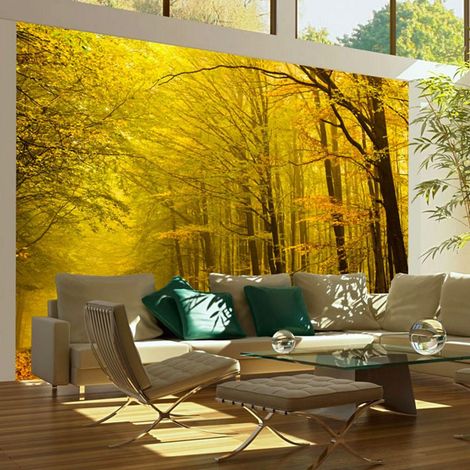 Papier peint route dans la forêt d'automne - 400 x 309 cm (1/4)