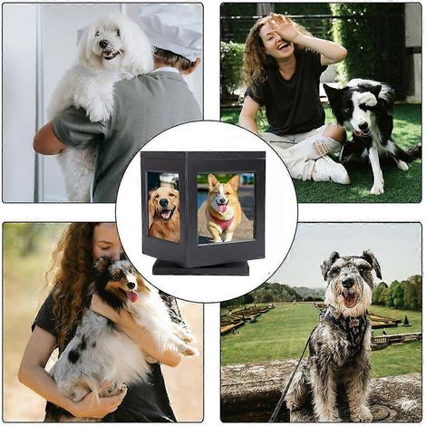 Boîte de crémation pour animaux de compagnie avec cadre photo, cadeau pour les propriétaires d'animaux