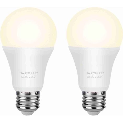 Ampoule néon LED, économie d'énergie, polyvalente, peut être utilisée dans les garages, les jardins, les cours (1/4)