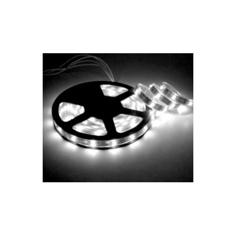 Striscia LED 5m 5050 12V 72W IP65 6000K HQ