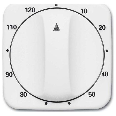 Cache minuterie busch-jaeger 1771-214-103 fixation 6x6 cm