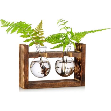 Jarrón de vidrio de bellota para flores, terrario, maceta con soporte de madera (1/5)