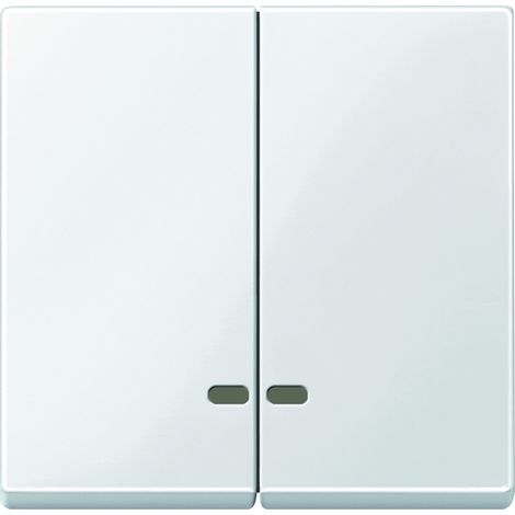 Merten Doppelwippe pws/gl Kontrollfenster MEG3420-0319 (1/5)