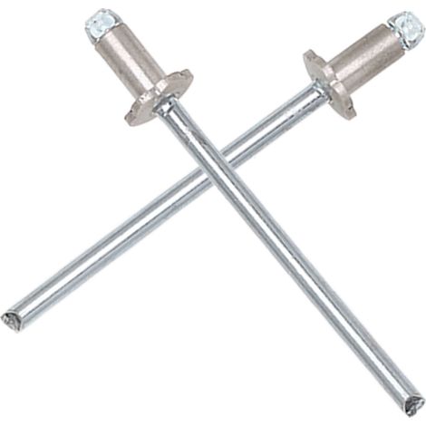 2 Edelstahl-Blindnieten für Türrosetten-Ersatzschilder für Ford AMC VIN, Edelstahl-Befestigungselemente, 2er-Pack (1/5)