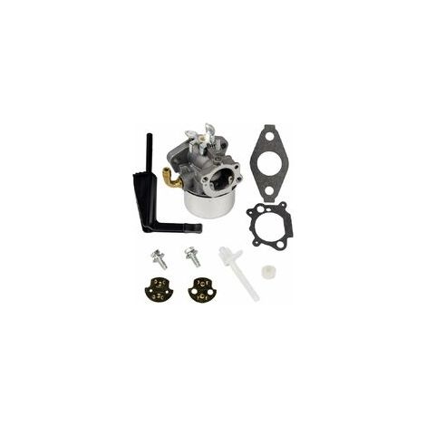 S-giant compatible avec les carburateurs Briggs & Stratton 798653, 697354, 790290, 791077 et 698860 (neuf)