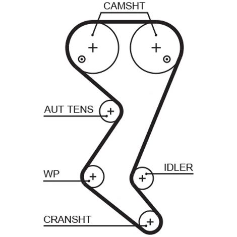 Courroie crantée Gates 5608XS CITROËN 0816G4 96473674 9647367480