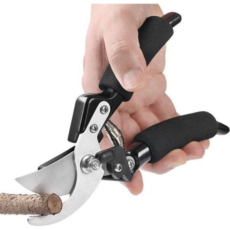 Sécateur - Lames Croisantes - Acier Inoxydable - Coupe Jardin Plantes Haies Fleurs Bois Mort - 19 mm - 1 Pièce (1/4)