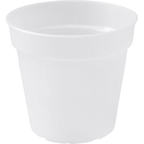 Pot Orchidée Transparent Elho Transparence Pour Racines Saines - Elho