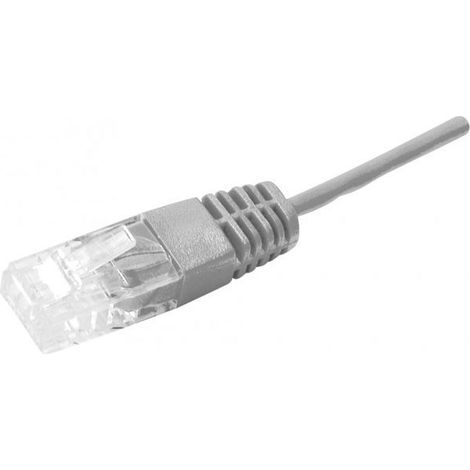 exertis Connect Cordon utp 2P surmoule RJ45/RJ45 telephone 100 ohms - 2M (928827)