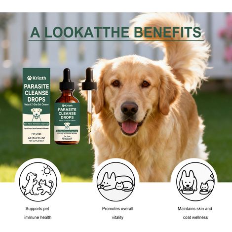 Huile intestinale douce pour chiens, apaisante et réconfortante pour le système digestif, gouttes orales pour animaux de compagnie – 60 ml (1/5)
