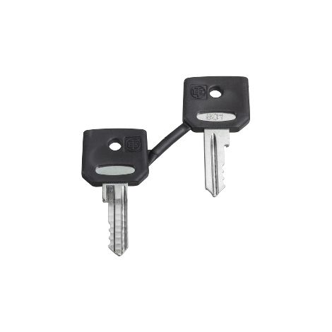 Schneider Electric ZBG421E ZBG421E Clé de rechange 1 pc(s)