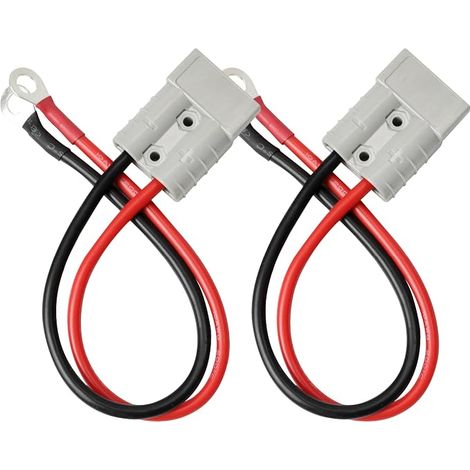 Set di 2 connettori per batteria 50 A 600 V (1/5)