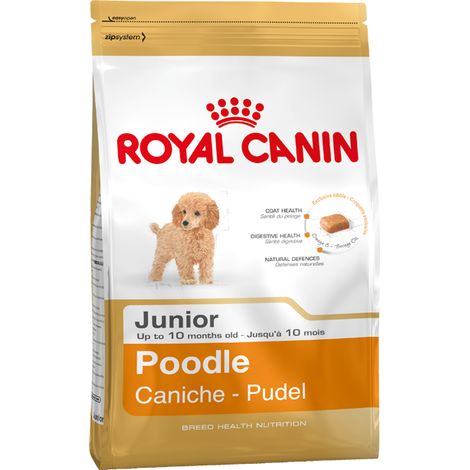 Chiot Royal Canin Caniche 3 kg (1/2)