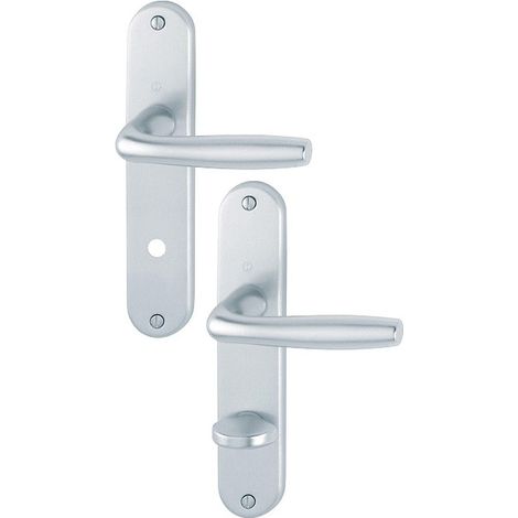 Poignée de porte HOPPE Roissy sur plaque 165 mm aluminium gris clair (1/2)