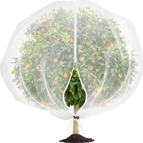 Ecleanfy - Filet à arbres fruitiers 240x240 cm avec fermeture éclair et cordon de serrage - Protection du jardin contre les oiseaux et les insectes - Convient aux légumes, aux fruits et aux tomates (1/5)