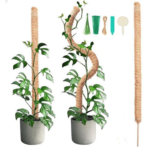 2 pièces 90CM bâton de mousse pliable avec 2 pièces de 2M de long corde de chanvre, bâton de noix de coco pour plantes, aides à l'escalade pour plantes grimpantes, support de plantes de jardin