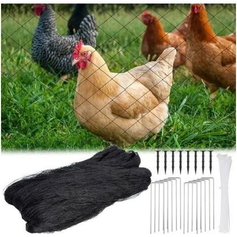 Filet anti-oiseaux 7,6 x 15,2 m – Maille carrée 2,5 cm – Nylon résistant aux intempéries – Pour protéger arbres fruitiers et cultures (1/5)