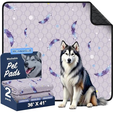 Washable Dog Sanitary Pads for Dogs, Reusable Absorbent and Waterproof Dog Sanitary Pads for Puppy Training (1/5)