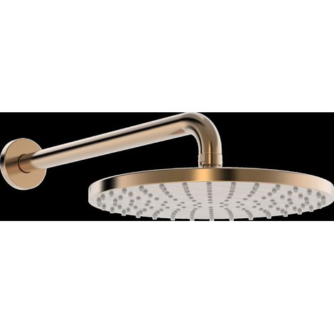 HANSA HANSAVIVA Douche de tête, ronde, diamètre 250mm, 1 jet,