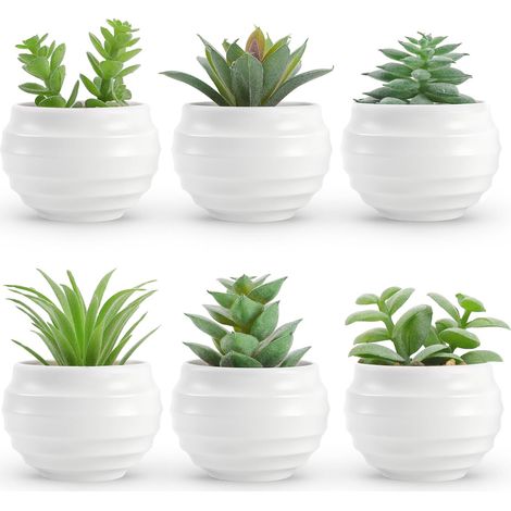 Lot de 6 Plantes succulentes artificielles en Pots pour Chambre à Coucher, Salon, étagère, Salle de Bain, décoration de Bureau, Accessoires de Bureau (1/5)