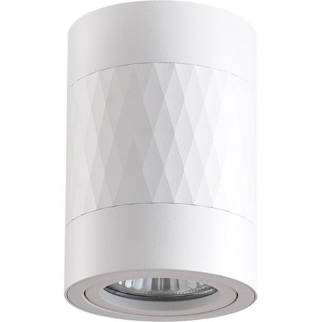 Spot saillie rond blanc alu GU10 RUBIN Polux 319821 (1/4)