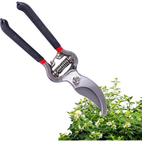 Fiori Anleitungen für Topfpflanzen Für Garten Für Garten (1/5)
